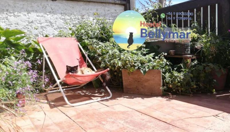 Hostal Bellymar 피칠레무 외부 사진